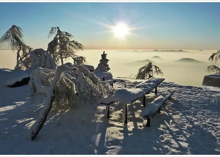 Guest house Silverado